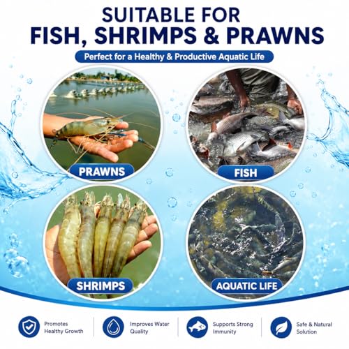 Image of Zeolite Granules for Fish Ponds 15 Kg Pack | Aquaculture & Fish Farming Water Treatment | Water Purifier for Clean & Healthy Pond Environment