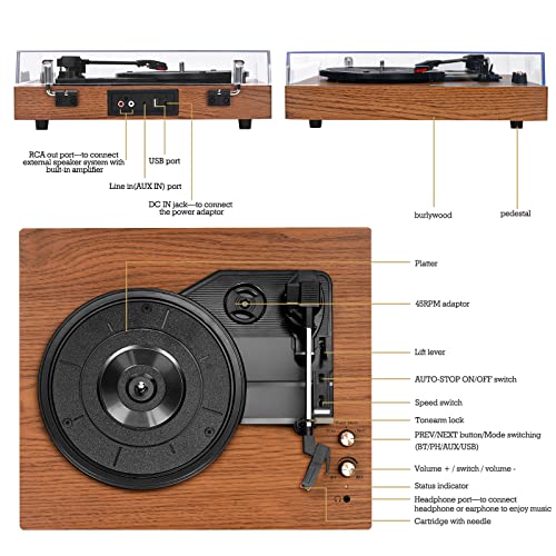 Chinflly Platine Vinyle Bluetooth, Tourne Disque Vinyle avec USB AUX Haut-Parleur Stéréo Intégré Conception de Valise… - Les Beatles, Paul McCartney, John Lennon, RIngo Starr, George Harrison Chinflly Platine Vinyle Bluetooth, Tourne Disque Vinyle avec USB AUX Haut-Parleur Stéréo Intégré Conception de Valise… – Image 3