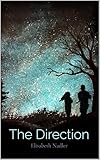 The Direction (Book One): Christian Dystopian Fiction
