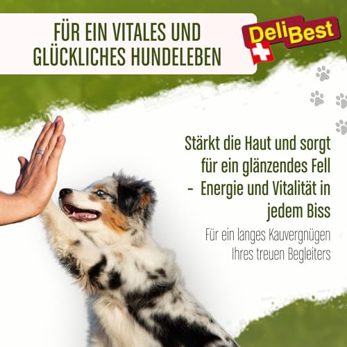 DeliBest Vital Natura Snack Biotin + Leinsamen I Kausnack für Hunde I für jedes Alter und Jede Größe I auch zur Zahnreinigung perfekt geeignet I natürlicher Kausnack I 200 g Packung