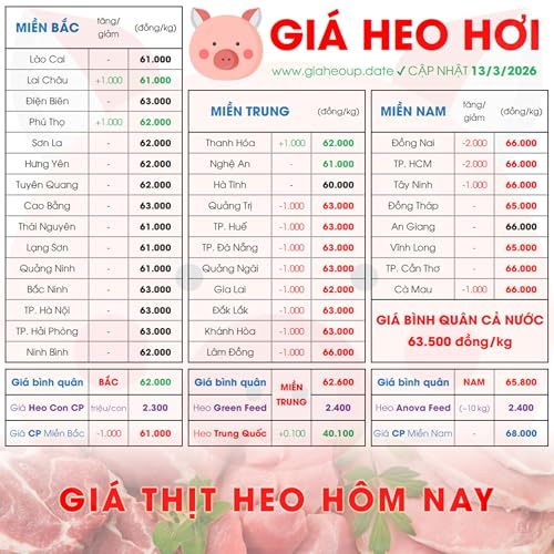GI&Aacute; LỢN HƠI 13/3/2026 ✅ GI&Aacute; THỊT HEO H&Ocirc;M NAY & TIN TỨC CHĂN NU&Ocirc;I #GIAHEOHOI #GIATHITHEO #GI&Aacute;LỢN