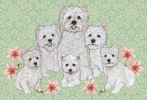 West Highland Terrier Blank Note Cards Boxed