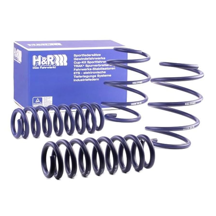Amazon.com: H&R Lowering Springs Compatible with BMW 1/2