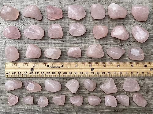 Image of 1 /2 LB Rose Quartz Tumbled Stones, Polished Rose Quartz Gemstone, Rose Quartz Healing Crystals (Rose Quartz)