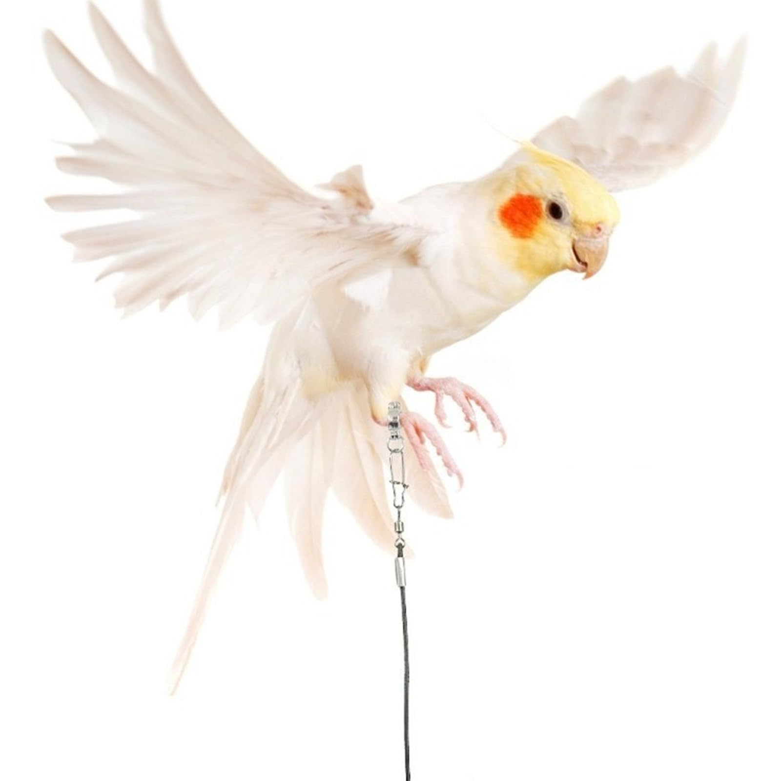 View 2