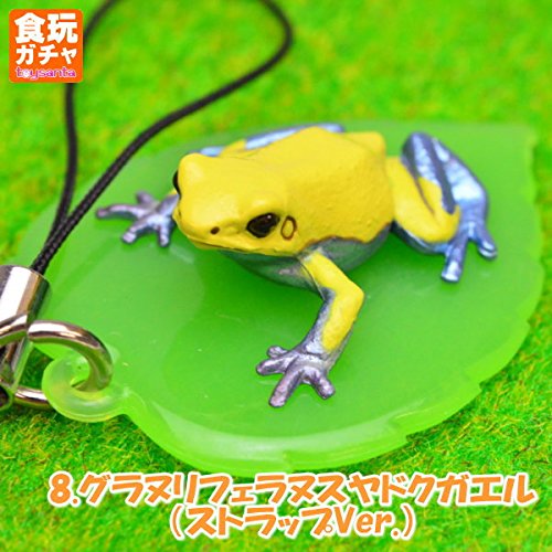 Amazon.co.jp: 【ヤドクガエル マグネット × ストラップ】リマニー