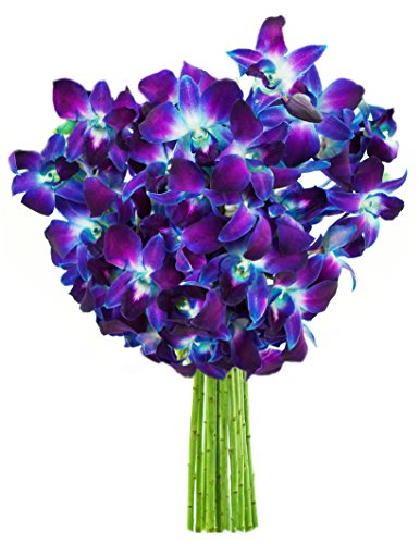 Image of KaBloom-10 Blue Orchid Bouquet,Flowers for Valentine, Mother's Day