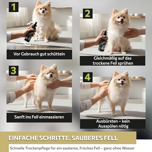 Peticare® Hunde Trockenshampoo (200 ml) – Natürliches Hundeshampoo gegen Geruch & Schmutz – ohne Wasser – Sanfte Fellpflege für Hunde & Welpen – für alle Fellarten – mit Argan- & Kokosöl