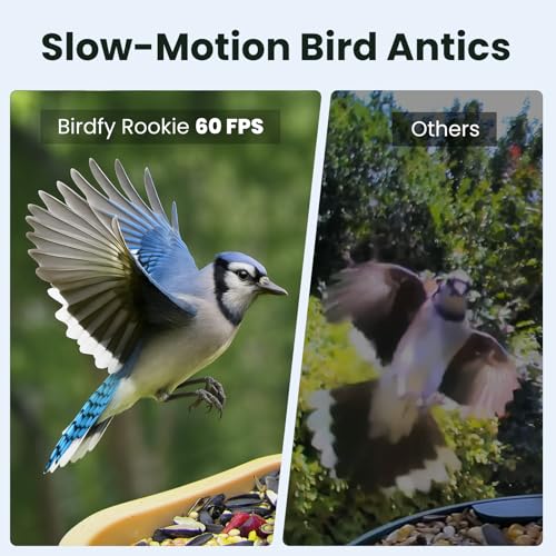 Image of Birdfy Smart Bird Feeder with Camera for Rookie, Camera Bird Feeder Dual Night Vision, AI Recognition IP66 Waterproof for BirdLovers, 1.3L Capacity