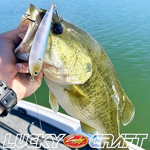 ラッキークラフト(LUCKY CRAFT)サミー105 (052 オーロラブラック) 6枚目