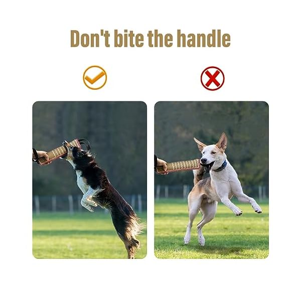 Puppy Training Fun Pillow