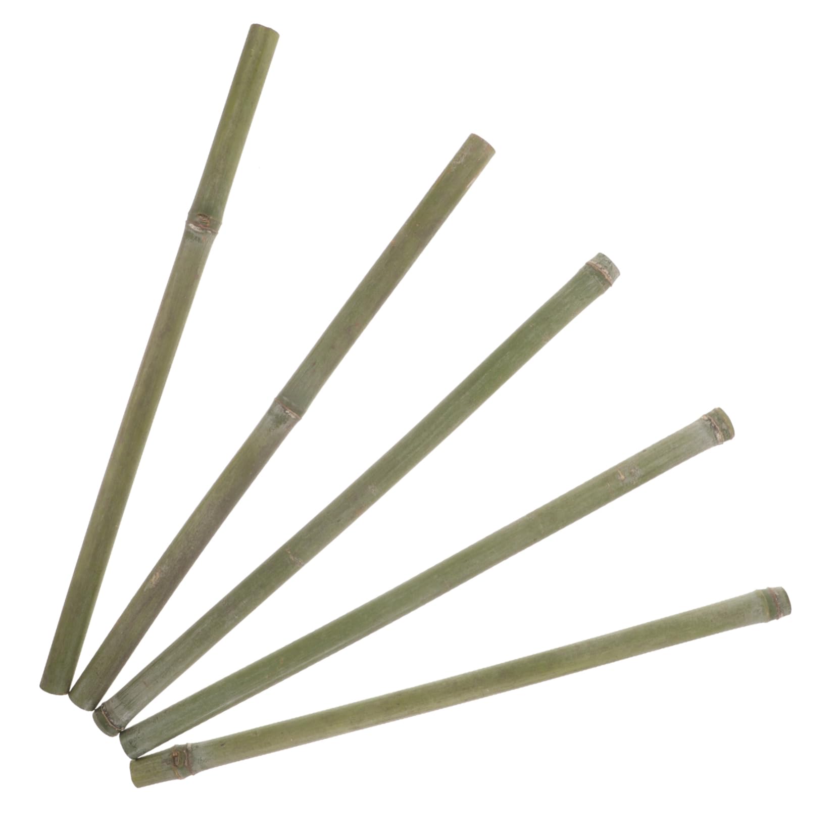 Happyyami 5 Stück Garten Bambuspfähle Bambusstäbe 50cm Bambusrohre als Rankgitter für Kletterpflanzen im Freien Stütze für Gartenpflanzen
