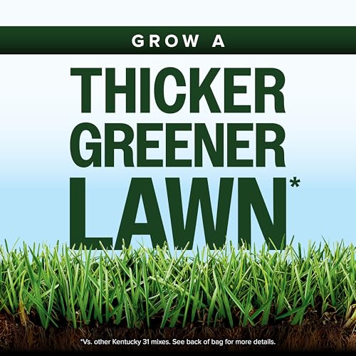 Grass Seed Blends For Sandy Soil And Beach Properties