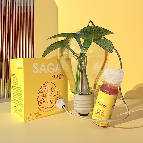 Saga Surge Mushroom Drink Energy Shot - Pre Workout Mood Boosting Supplement Shot - Kava & Berry Blast Organic Energy Drink - Lion's Mane Liquid Vegan Boost Drink For Immune Support & Energy - 6 Pack #TOP6