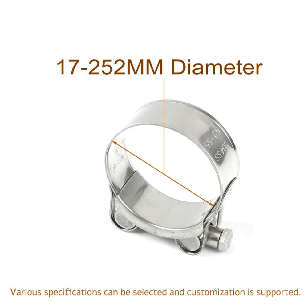 Colliers de serrage en acier inoxydable 304, 17-252 mm, fixations pour tuyaux de carburant/eau pour usage automobile, diamètres 20 mm et 22 mm.