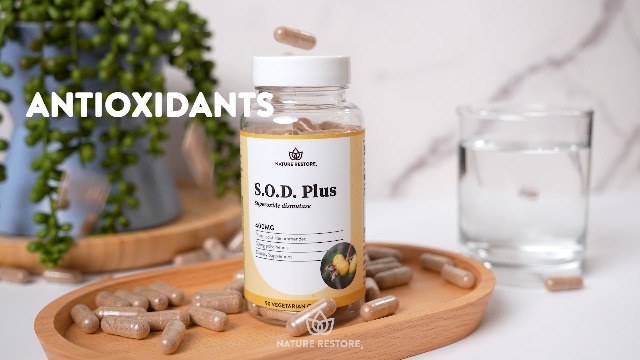 Amazon.com: Nature Restore S.O.D. Superoxide Dismutase Supplement, 4,000 IU  SOD-Like Activity, Vegan, 90 Capsules, Non-GMO, Gluten Free : Health &  Household