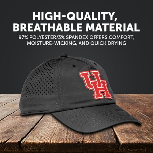 Desert Cactus Houston Snapback Hat miniatura 4