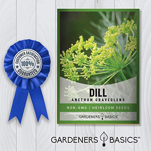 Dill Seeds For Planting Is A Heirloom, Non-Gmo Herb Variety- Anethum Graveolens Herb Seeds Great For Indoor And Outdoor Gardening By Gardeners Basics #TOP5