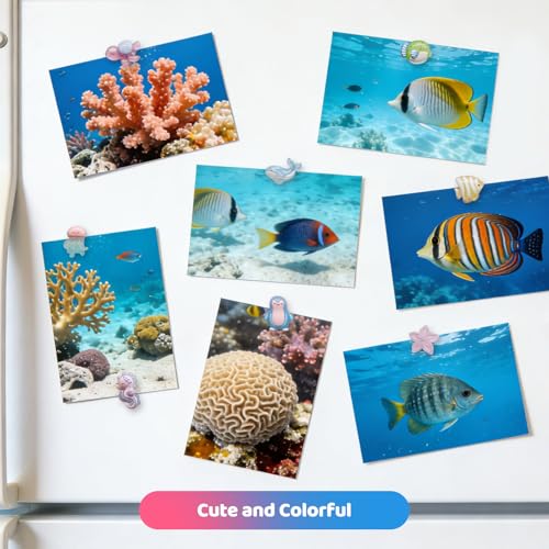 8 imanes decorativos pequeños de animales marinos para nevera miniatura 3