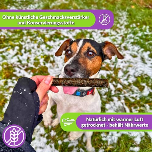 Naturbiss Hundezigarren aus Pferd - 20 Stück (12 cm) - Hypoallergen & Getreidefrei Zigarre - Monoprotein, 98% Muskelfleisch Rollen - luftgetrocknetes Pferdefleisch Hundesnack
