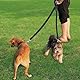 XNIVUIS 2 Pièces Hundeleine Doppelleine, Doppelte Hundelein Leinen, Verstellbare Doppelleine für 2 Hunde, Kein Verheddern Doppelhundeleine zum Spazierengehen mit 2 Hunden an Einer Leine (Schwarz)