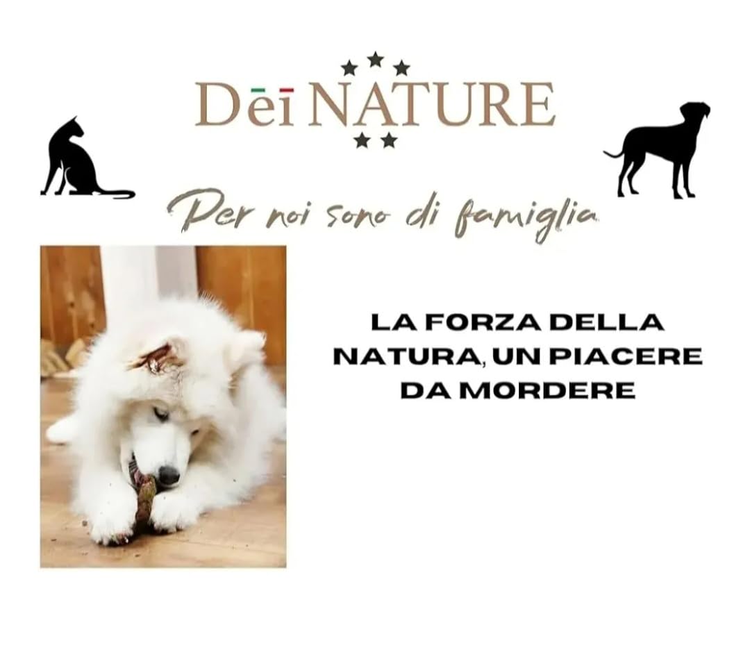 Legno di Ulivo per Cani, Masticativo Naturale, 2 UNITA' Taglia S,Bastoncino Antitartaro per Pulizia Denti