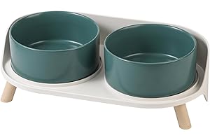 Raised Dog Bowls with Stand: The Elevated Dining Experience for Canine Companions