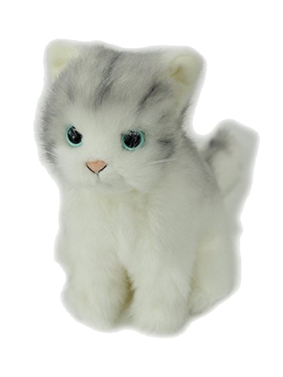 Amazon.co.jp: 日本製 リアルシリーズ トラネコ グレー ぬいぐるみ