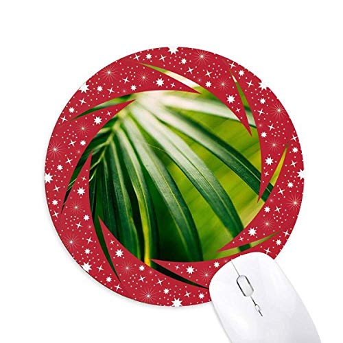 TVC̗t̐A̎R̎ʐ^ ~`S̐Ԃ̃zC[pbh