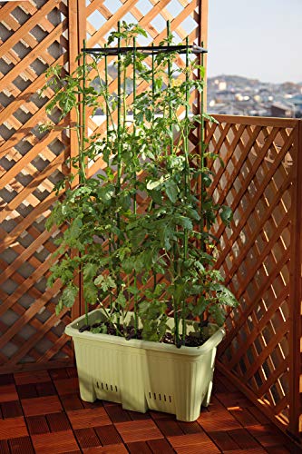 アップルウェアー 鉢 プランター プラ鉢 楽々菜園 深型 600 支柱用フレーム付き(支柱別売) サラダグリーン 土容量22L 貯水容量5.2L 奥行60×幅32.4×高さ32.4 野菜 貯水機能 初心者向け 日本製 2枚目