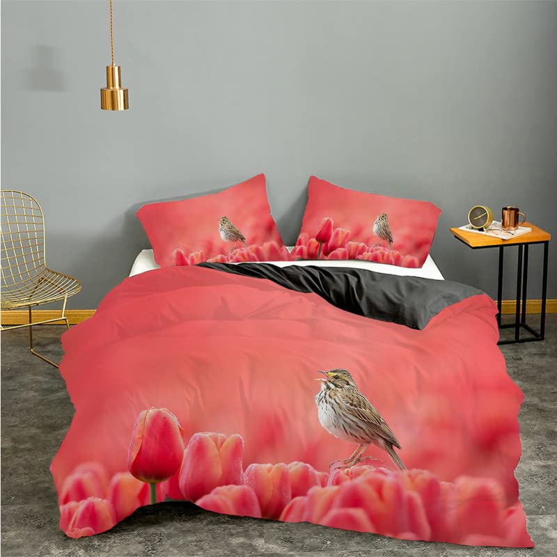 Housse couette 160x200 oiseau rouge pour illuminer la chambre des ados