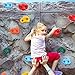 HAPPY MOTTE 25 Rock Climbing Holds for Kids Climber With Hardware, Wall Holds and Grips for Indoor and Outdoor Playground Play Set