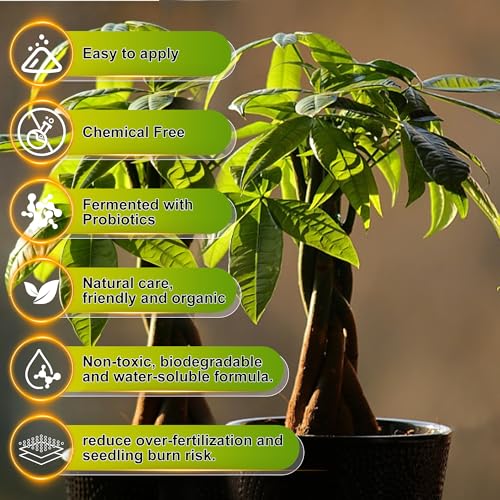 Fertilizante Líquido Money Tree para Plantas 300 ml miniatura 5