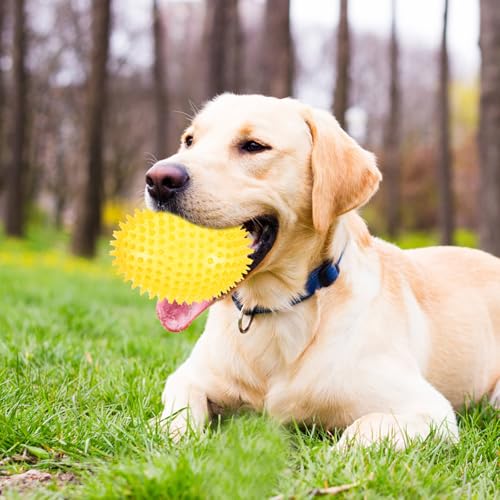 VALICLUD 4 Stück Unzerstörbares Hundekauspielzeug für Welpen Im Zahnwechsel Stachelige Kauspielbälle aus Robustem Material Geeignet für Kleine Bis Große Hunde Interaktives