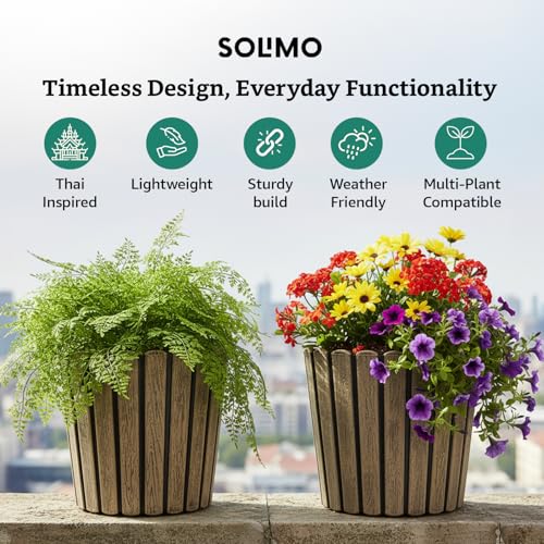 Image of Amazon Brand- Solimo Indoor and Outdoor Round 12 Inch Thai Flower Planter Pot Best for Terrace /Balcony /Home /Office Decor - Set of 2