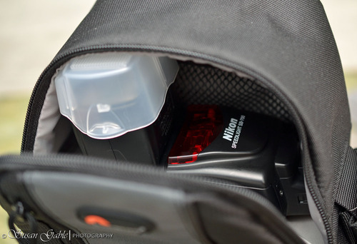 A Nice Surprise for My Nikon D600