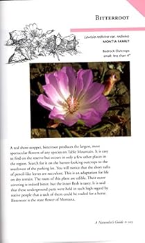 Paperback Wildflowers of Table Mountain a Naturalist's Guide 2018 Book