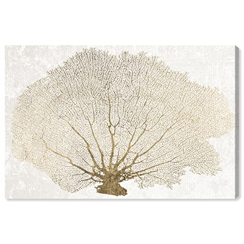 Oliver Gal Gold Floater Coral Fan Canvas Print Wall Art for Living Room, Bedroom, and Bathroom, 45" x 30", Gallery Wrapped