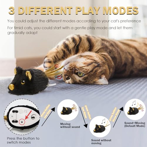 Souris mobile rechargeable pour chat d'intérieur contre l'ennui