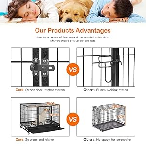 BestPet 48 inch Heavy Duty Dog Cage Large Dog Crate Strong Metal Dog Kennels with Double Doors,Lockable Wheels, Indoor Outdoor Dog Crates for Medium and Large Dogs with Removable Tray BestPet 48 inch Heavy Duty Dog Cage Large Dog Crate Strong Metal Dog Kennels with Double Doors,Lockable Wheels, Indoor Outdoor Dog Crates for Medium and Large Dogs with Removable Tray