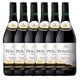 Este vino se caracteriza por su color rojo granate, su carácter y su agradable paladar.