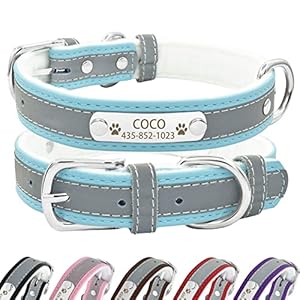 Senristar Personalised Reflective Leather Dog Collar with Warm Lining, Individual Dog Collar with Name Plate Engraved for Small, Medium and Large Dogs and Cats