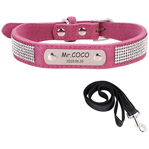 Collar personalizado de animales a medida Cover