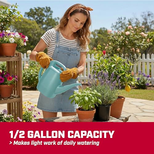 Image of Chapin 1 /2-Gallon Watering Can, Easy-Pour Dual Handle Design | Lightweight compact design; ideal for indoor plants watering with large opening for easy refill and controlled pour