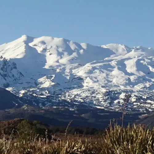 Mount Ruapehu: Early Warning or Routine Change?