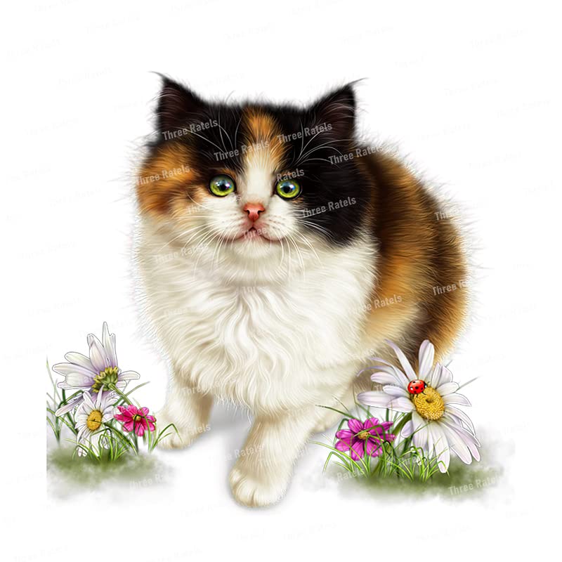Décoration murale chat 20cm style pastoral autocollant amovible chambre