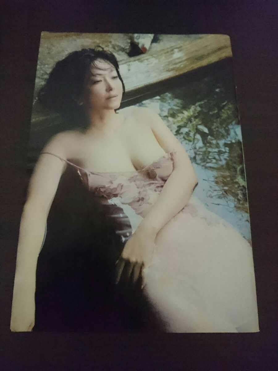 斎藤陽子ヌード画像 Amazon.co.jp: 斎藤陽子 ○切り抜き8P ○セクシーグラビア キャスター(トゥナイト2)女優