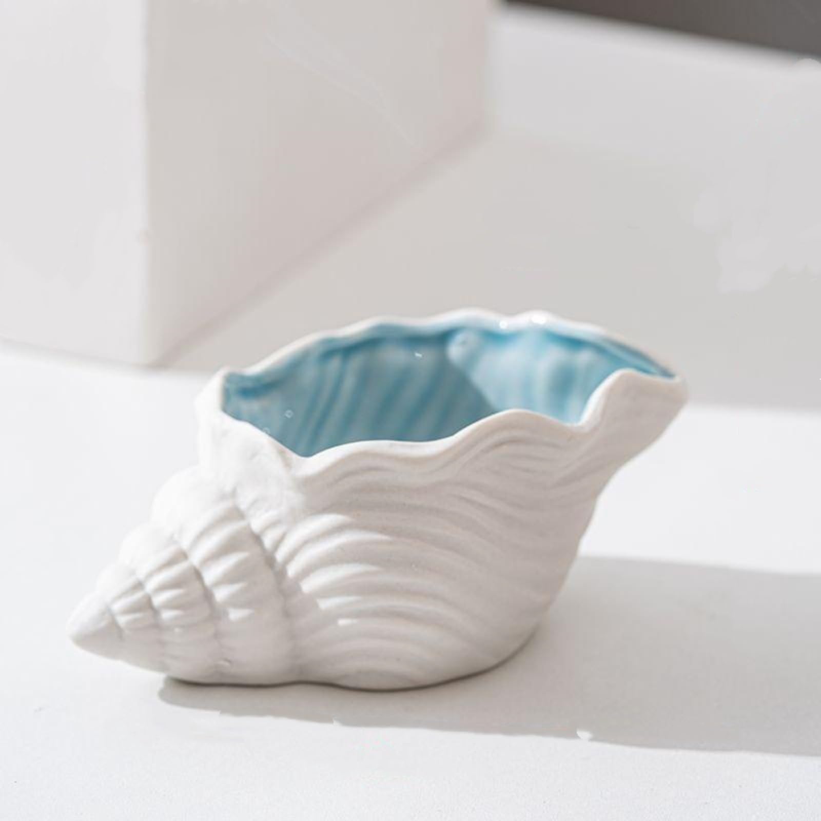 Jorcedi Women's Blue Starfish Shell Jewelry Dish Tray - Ceramic Trinket Holder For Rings Earrings Necklaces - Ocean-Inspired Decor For Bedroom Vanity,Coastal Room Decor (,Conch)