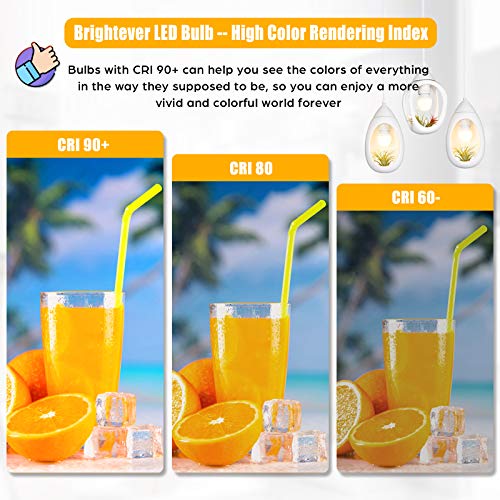 Image of LED Light Bulbs 100W Equivalent 1500 Lumens, A19 13W 2700K Warm White Non-Dimmable, Super Bright No Flicker Standard E26 Edison Screw Bulbs for Home, Bedroom, Office Lamp, 12-Pack