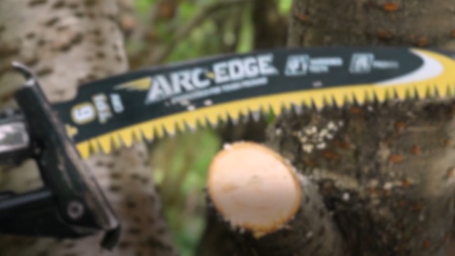 Image of TOLESA Arc Edge Reciprocating Saw Blades, 9 inch 6TPI for Pruning, 5-Pack